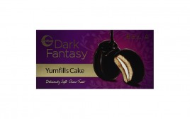 Sunfeast Dark Fantasy Yumfills Cake   Box  138 grams